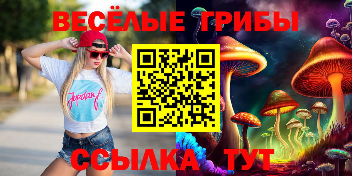 Великий Новгород  Псилоцибиновые грибы Cubensis  Вход с VPN 