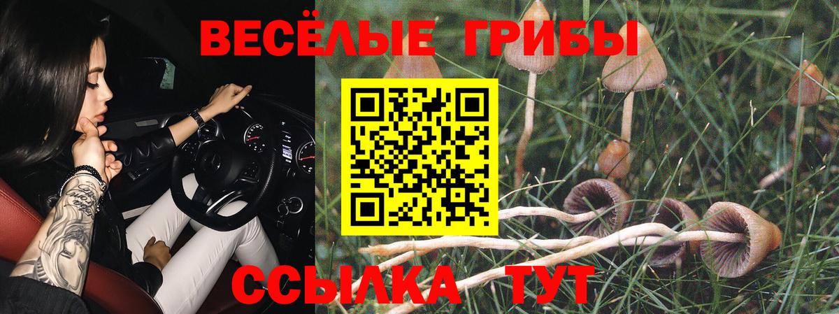 Псилоцибиновые грибы мухоморы Великий Новгород